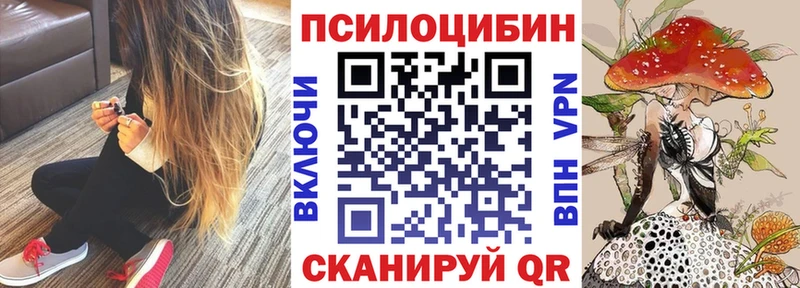 Псилоцибиновые грибы Psilocybe  продажа наркотиков  KRAKEN ссылки  Губаха 